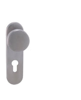 Coslan special with Ball Door Handle on a Backplate made of Stainless Steel